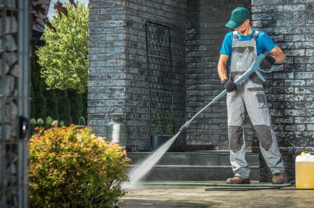 Animal Enclosure Cleaning in Dunellen, NJ